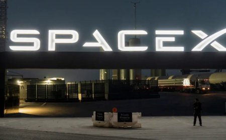SpaceX ortaklarından sıra dışı talep: "Roketi pembeye boyayabilir miyiz?"